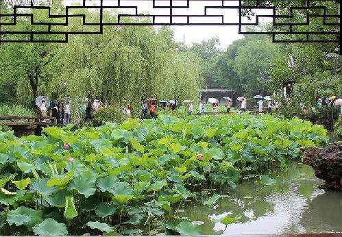 20th Lotus Festival kicks off at E China's Zhuozheng Yuan Garden