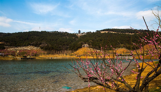 Families attractions for the Spring Festival season