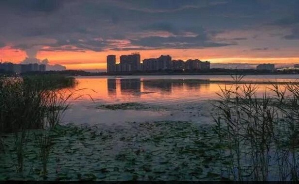 Jiyang Lake embraces autumn colors