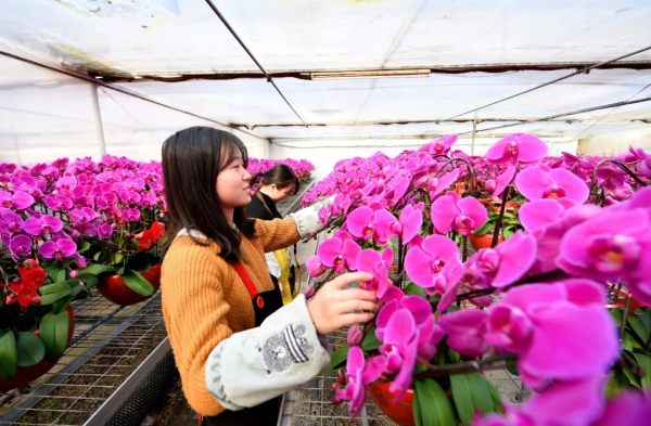 In photos: Zhangjiagang residents celebrate New Year