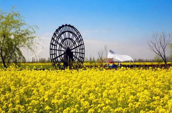 Encounter a flowery Zhangjiagang in spring