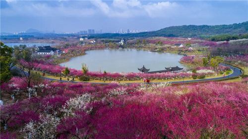 Xiangshan Mountain enjoys spectacular sight