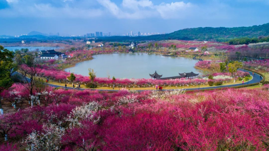 Guides to admire flowers in Zhangjiagang