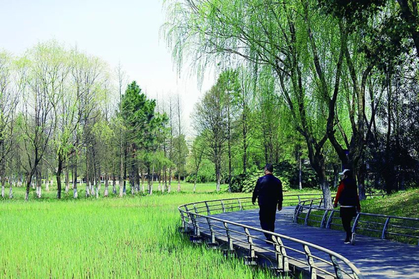 Jiyang Lake Ecological Wetland, a stunning natural oasis