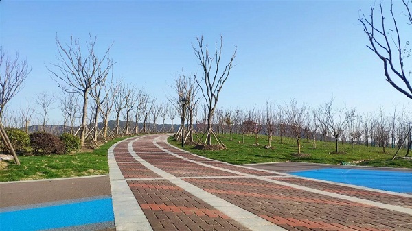 New park to open in Zhangjiagang