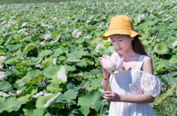 In pics: Lotus flowers lend charms to Shuangshan Island