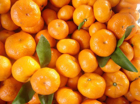 Nanfeng Tangerine Orange