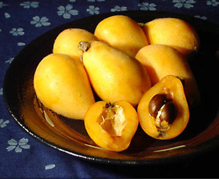 Anyi Loquat