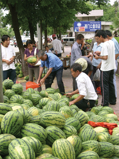 Linchuan Watermelon