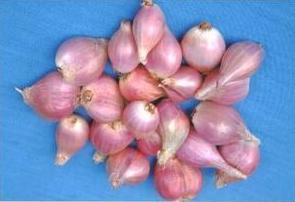 Duchang purple pericarp garlic