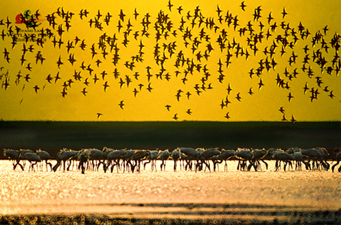 Poyang Lake