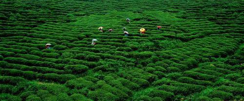 Jinggang Mountain