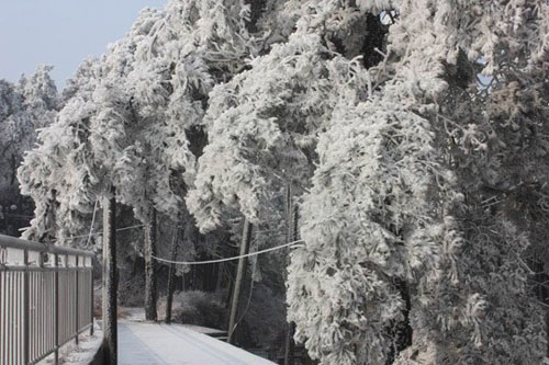 Spring snow falls on Lushan Mountain