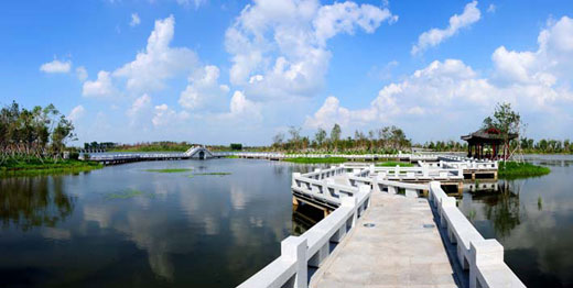 Beihu Wetland Park