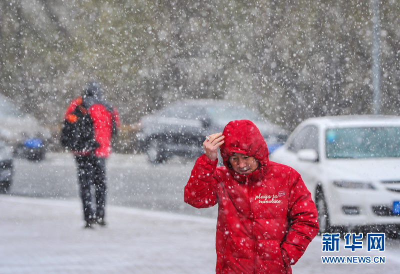 First winter snow falls on Changchun