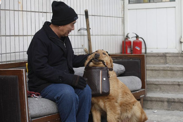 The old man and the Golden Retriever