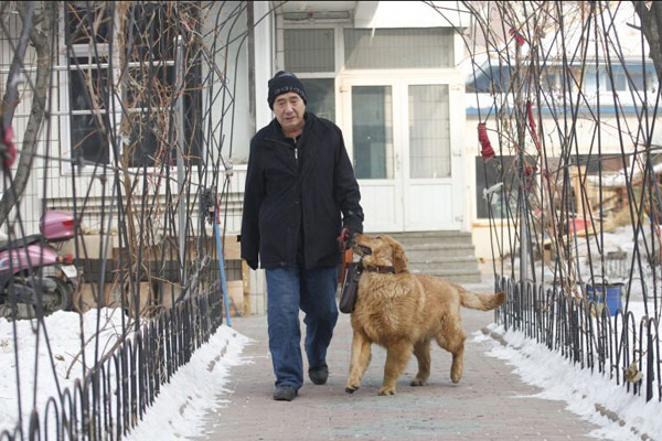 The old man and the Golden Retriever