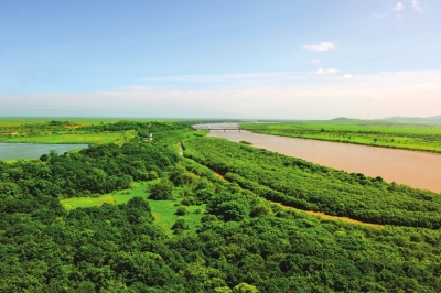 Birds migrate through NE China's wetlands