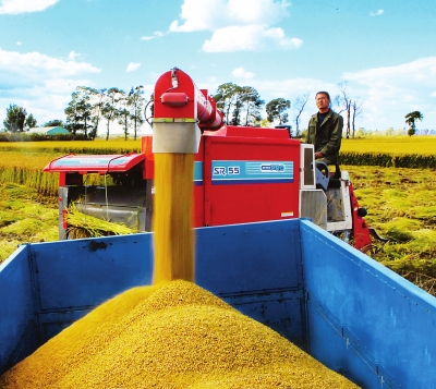 Bumper harvest in NE China