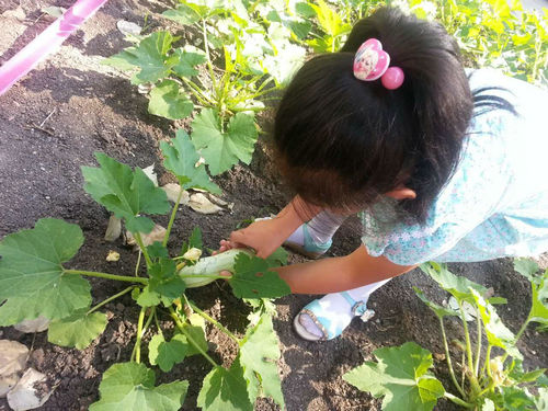 NE China kindergarten does its teaching in a pastoral way