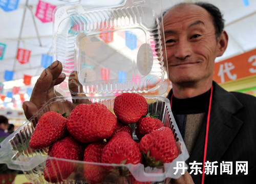 6th China (Dandong Donggang) Strawberry Cultural Festival inaugurated