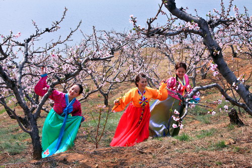 Tourist festivals: Dandong Hekou Peach Blossom Festival (Early May)