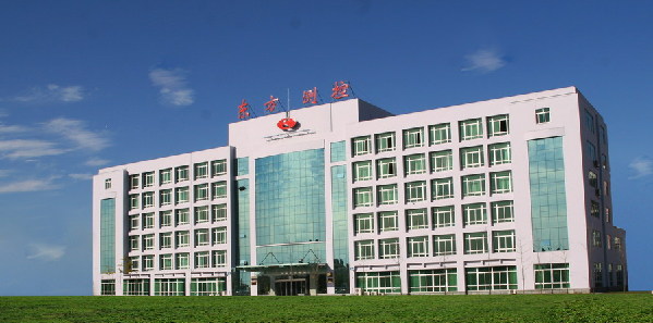 Dandong Dongfang Measurement and Control Technology Co Ltd