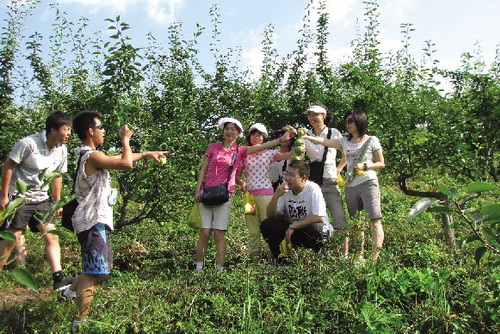 Peak season arrives for fruit-picking tourists