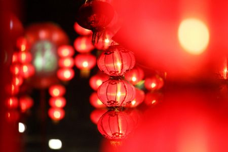 People visit Artistic Lantern Exhibition greeting New Year