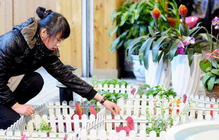 'Happy farms' introduced into real life in NE China