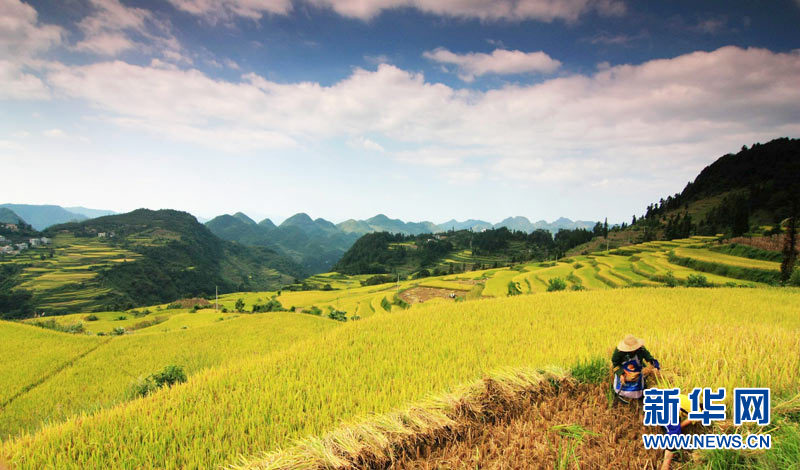 Autumn scenery around China