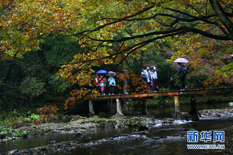 Autumn scenery around China