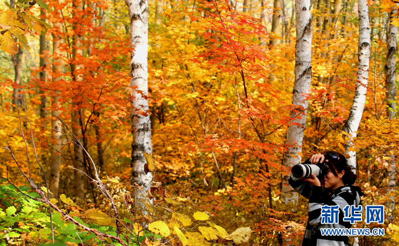 Autumn scenery around China