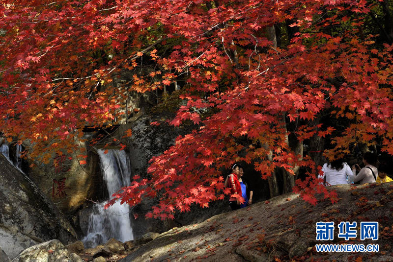 Autumn scenery around China