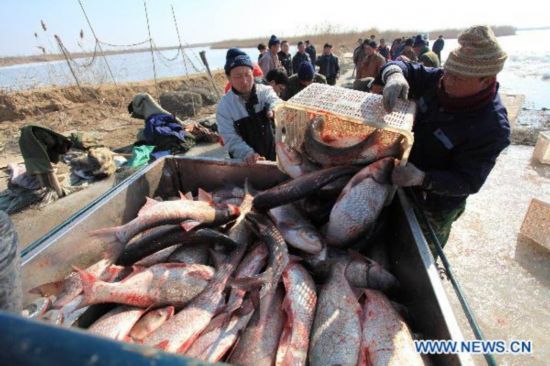 Fishing Festival held at N. China's Wolong Lake