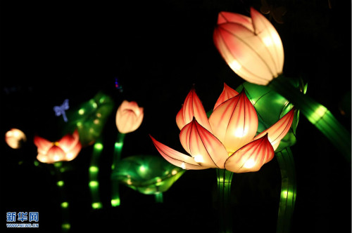 Colorful lanterns illuminate Shenyang