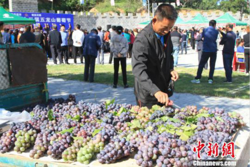 Grape festival held to promote marketing