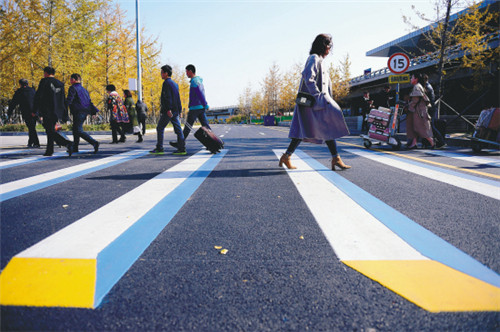 3D zebra crossing slows traffic