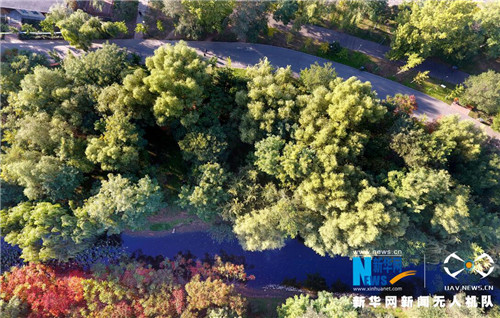 Drone provides aerial view of Shenyang