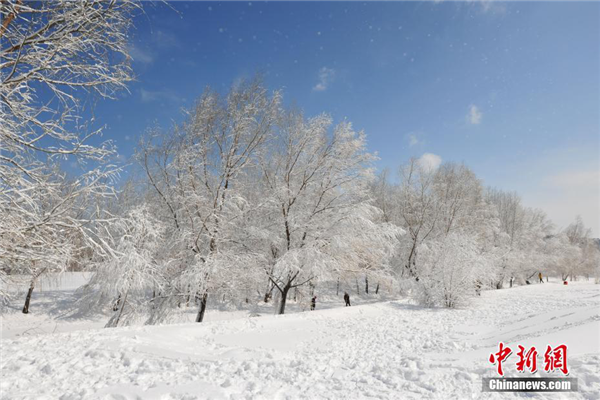 Snowstorm hits Shenyang