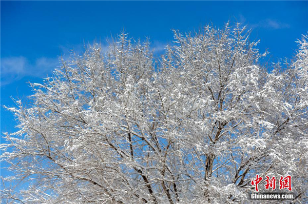 Snowstorm hits Shenyang