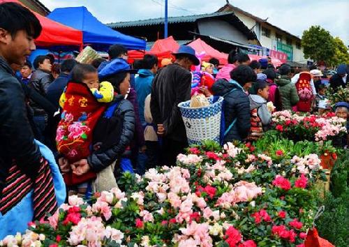 Lijiang hosts Bangbang Festival