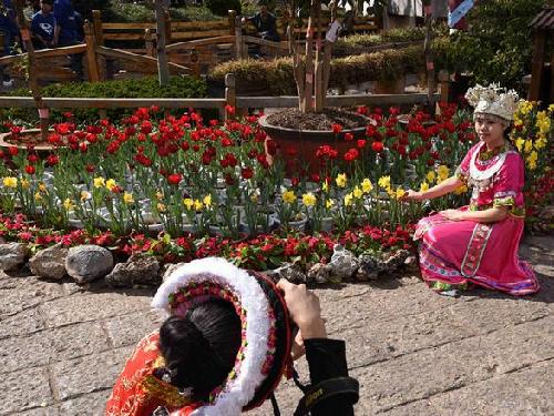 Lijiang hosts flower exhibition during Lantern Festival