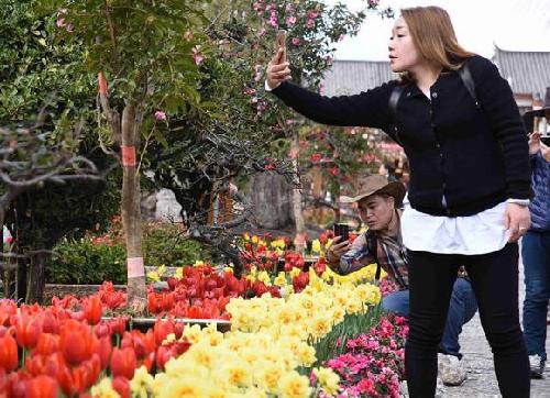 Lijiang hosts flower exhibition during Lantern Festival