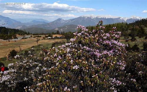 Natural Sceneries in Yunnan