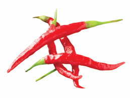 Hot, red chili peppers