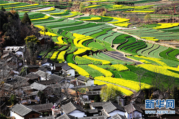 Lijiang tightens ecological protection