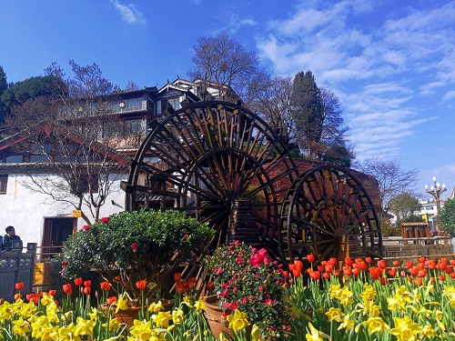 Lijiang's Old Town ready for Spring Festival tourism boom