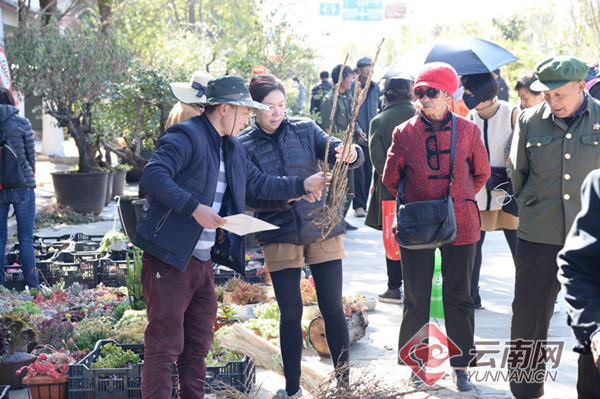 Lijiang's 'Bangbang' bazaar makes a bang with Lantern Festival