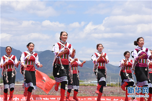 Lijiang brings out snow peach industry